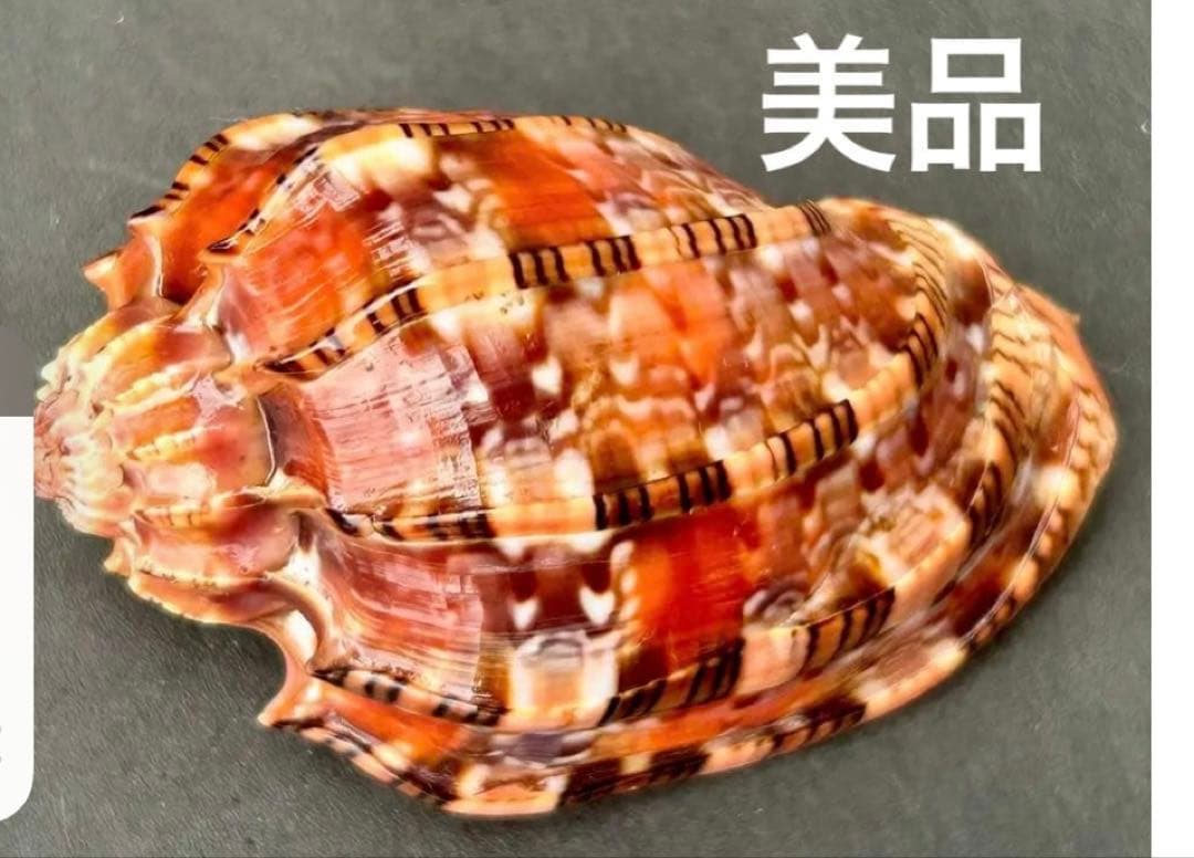 専用　まとめ11点