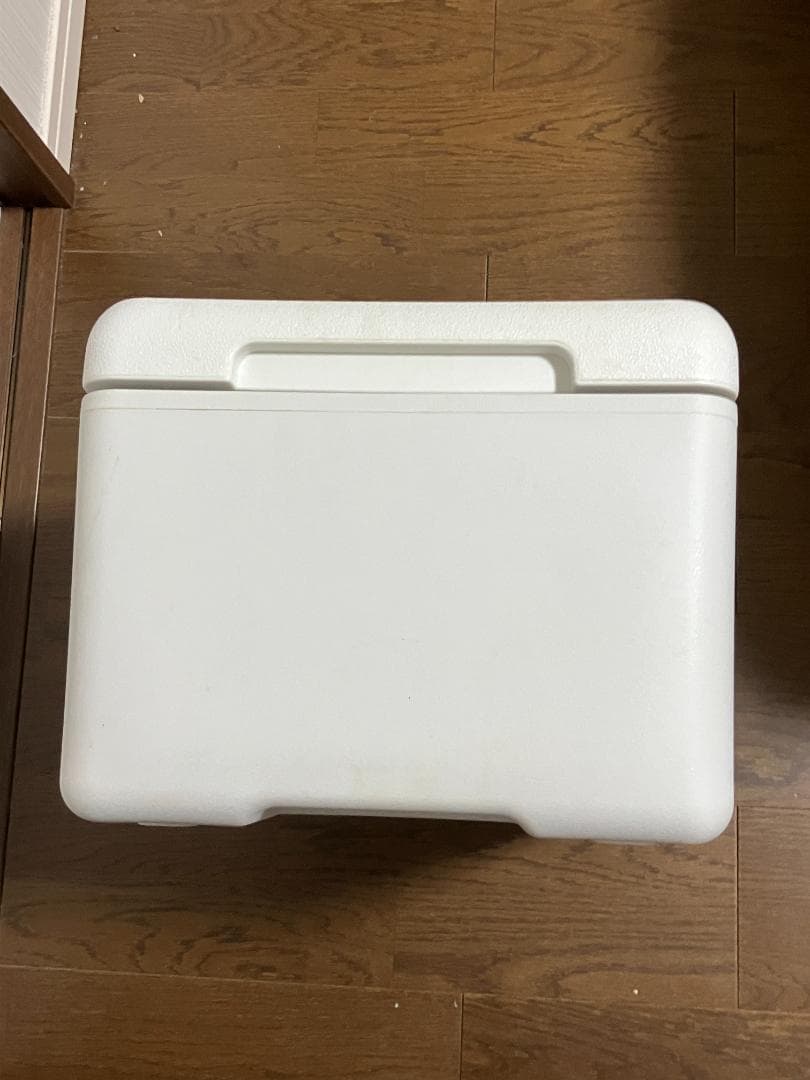 車載 冷蔵庫 冷凍庫 9L（専用保冷バック付）VERSOS