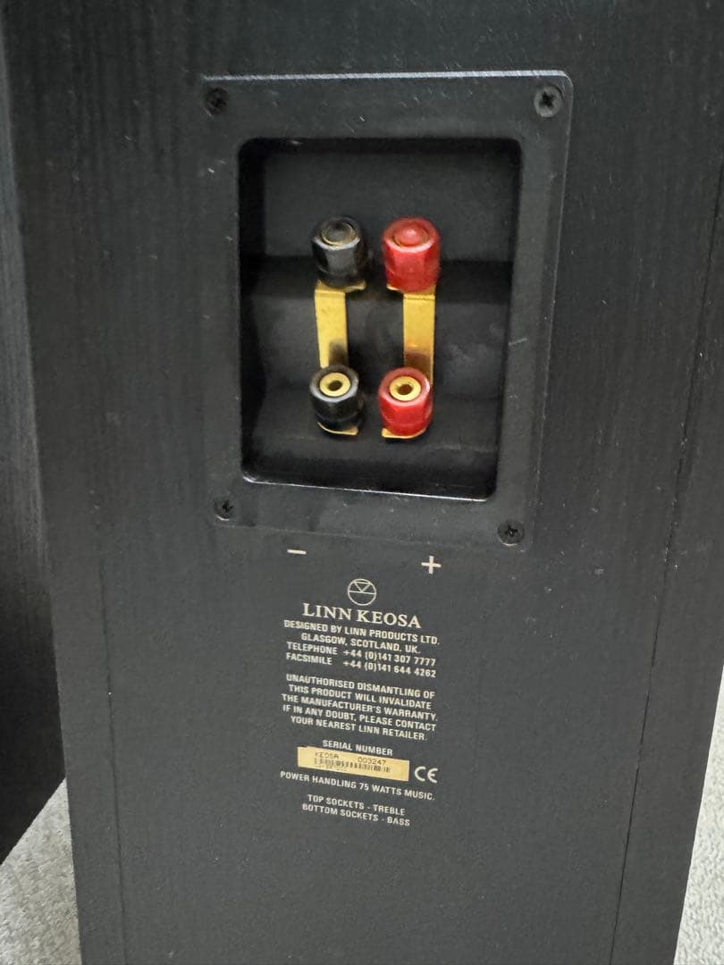 LINN KEOSA フロアスタンディングスピーカー ブラック