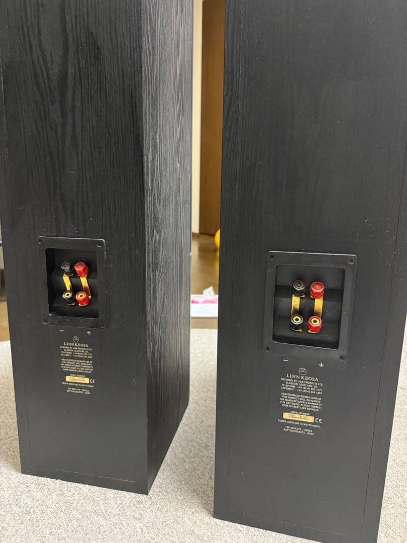 LINN KEOSA フロアスタンディングスピーカー ブラック