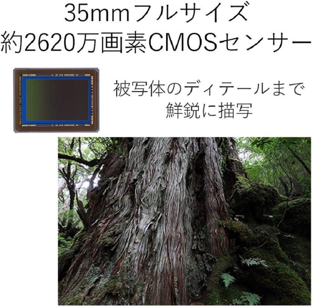 【美品】CANON EOS 6D Mark II