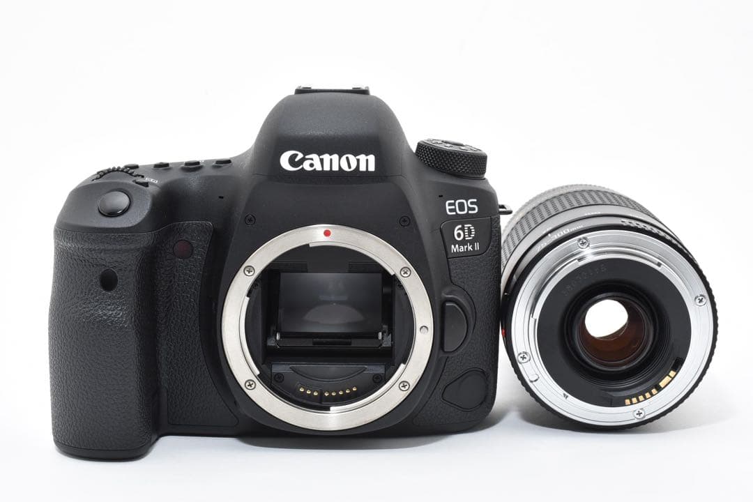Canon EOS 6D Mark II / Canon EF 75-300㎜