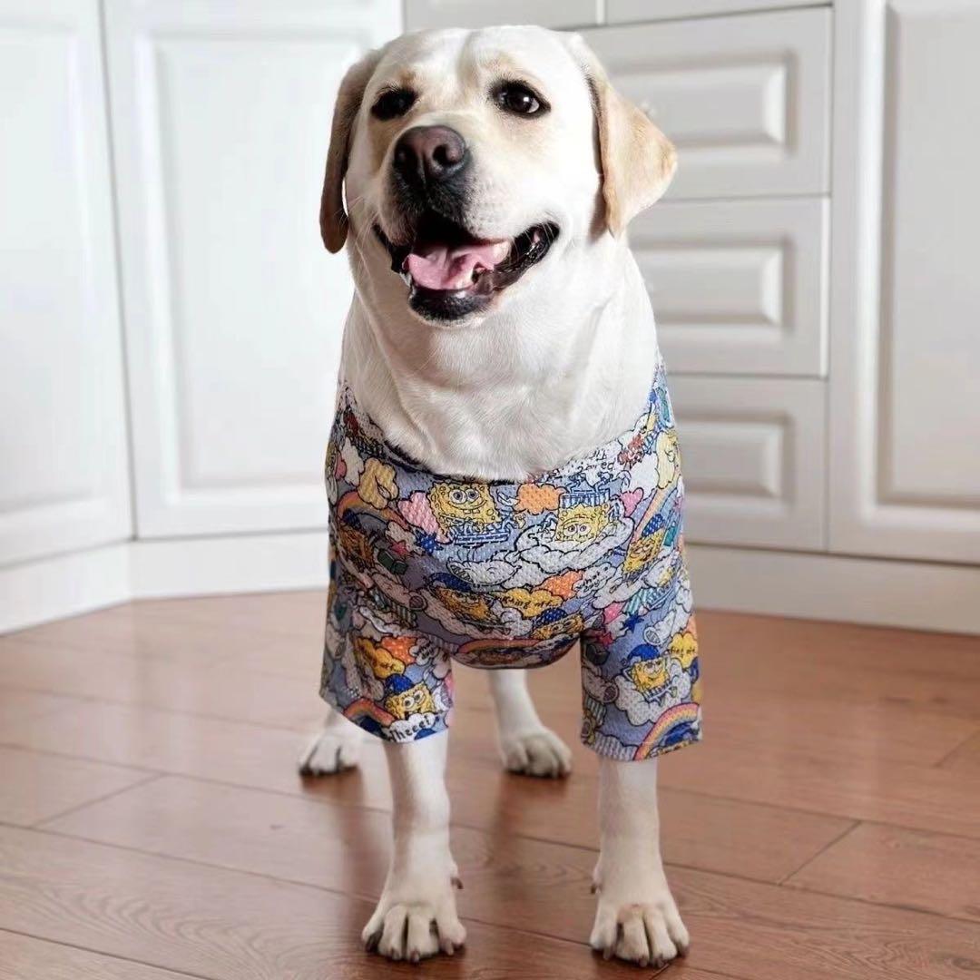 犬服2枚レインコート2枚