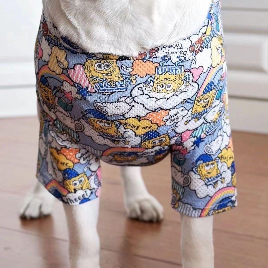 犬服2枚レインコート2枚