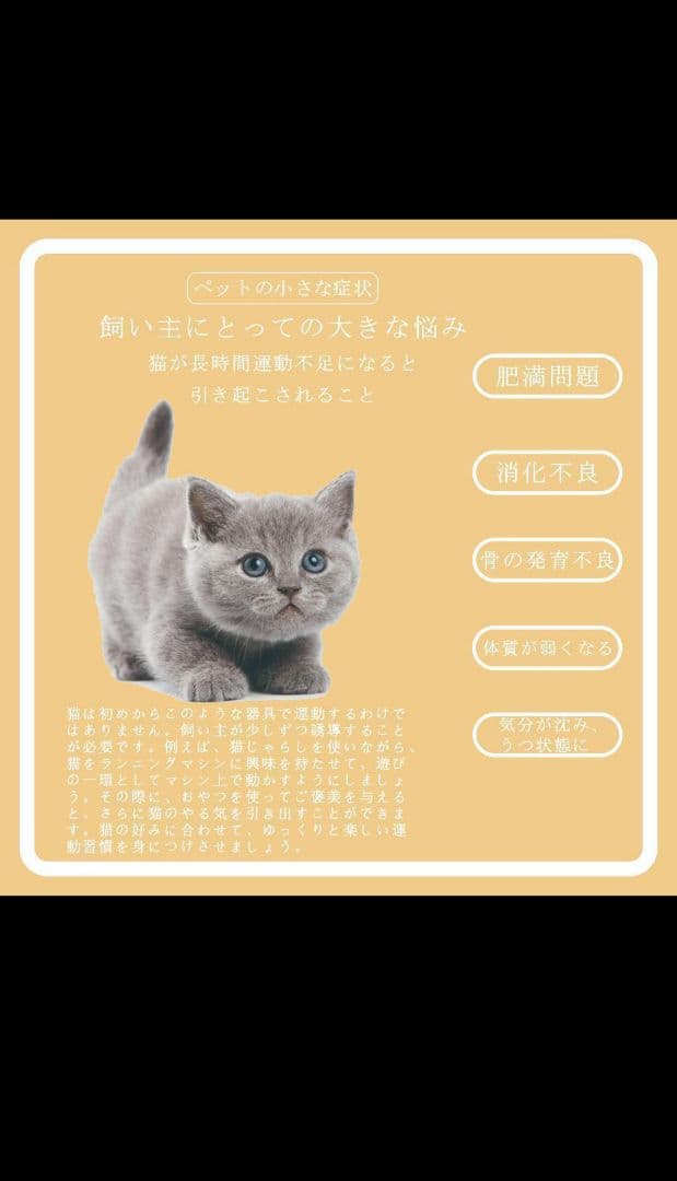 m*6様 キャットホイール 大 グレー 滑り止め付き