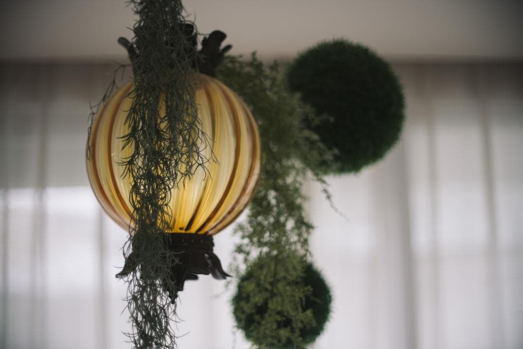 F1.2の壁！Nikkor-s Auto 55mm F1.2 オールドレンズ