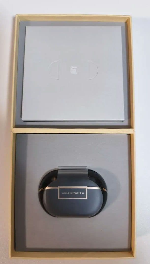 【動作確認のみ】 ワイヤレスイヤホン SOUNDPEATS H3