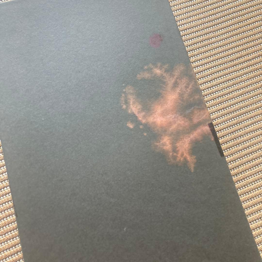 【新品未使用】ウェッジウッド プシュケ　ピオニーシェイプ　ティーカップ＆ソーサー