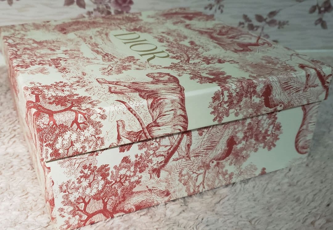 【未使用】ディオール トワルドゥジュイカップソーサー2客 27cmプレートセット