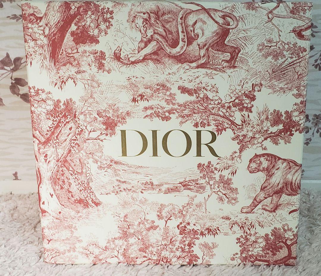 【未使用】ディオール トワルドゥジュイカップソーサー2客 27cmプレートセット