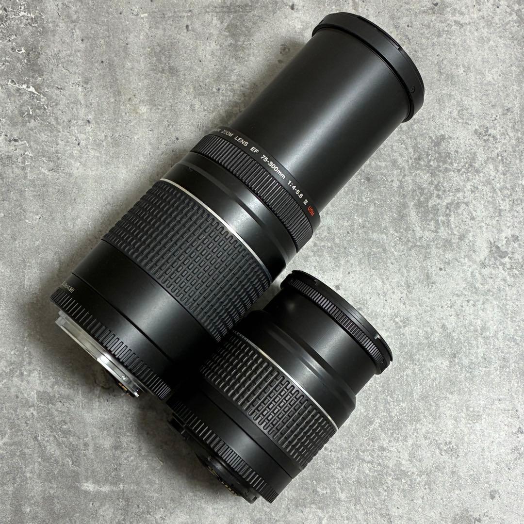 ⭐️美品⭐️キャノン Canon EF75-300, 28-80mm ダブルレンズ