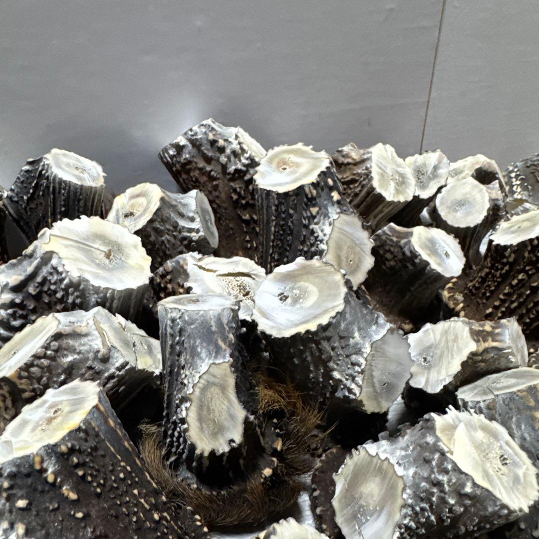 鹿の角　端材　ハンドメイド用