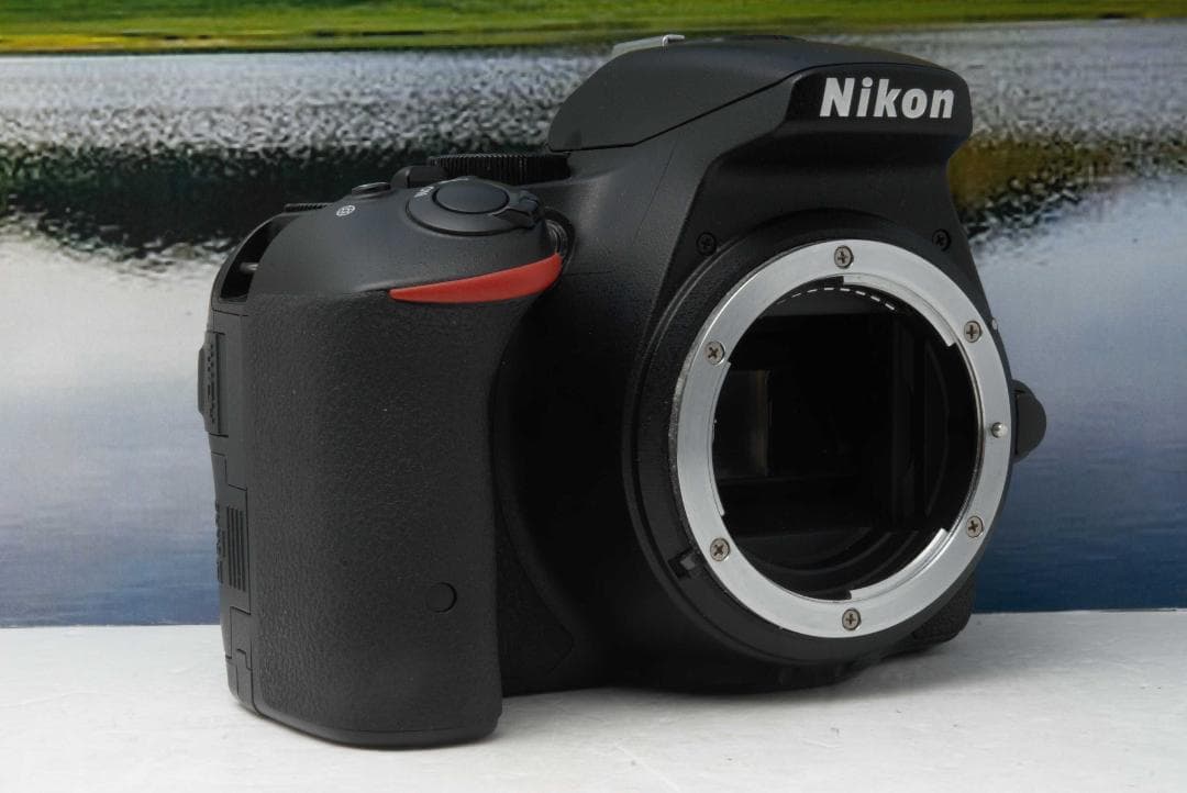 初心者向け　Nikon D5500 高性能 Wi-Fi搭載 届いてすぐ使える