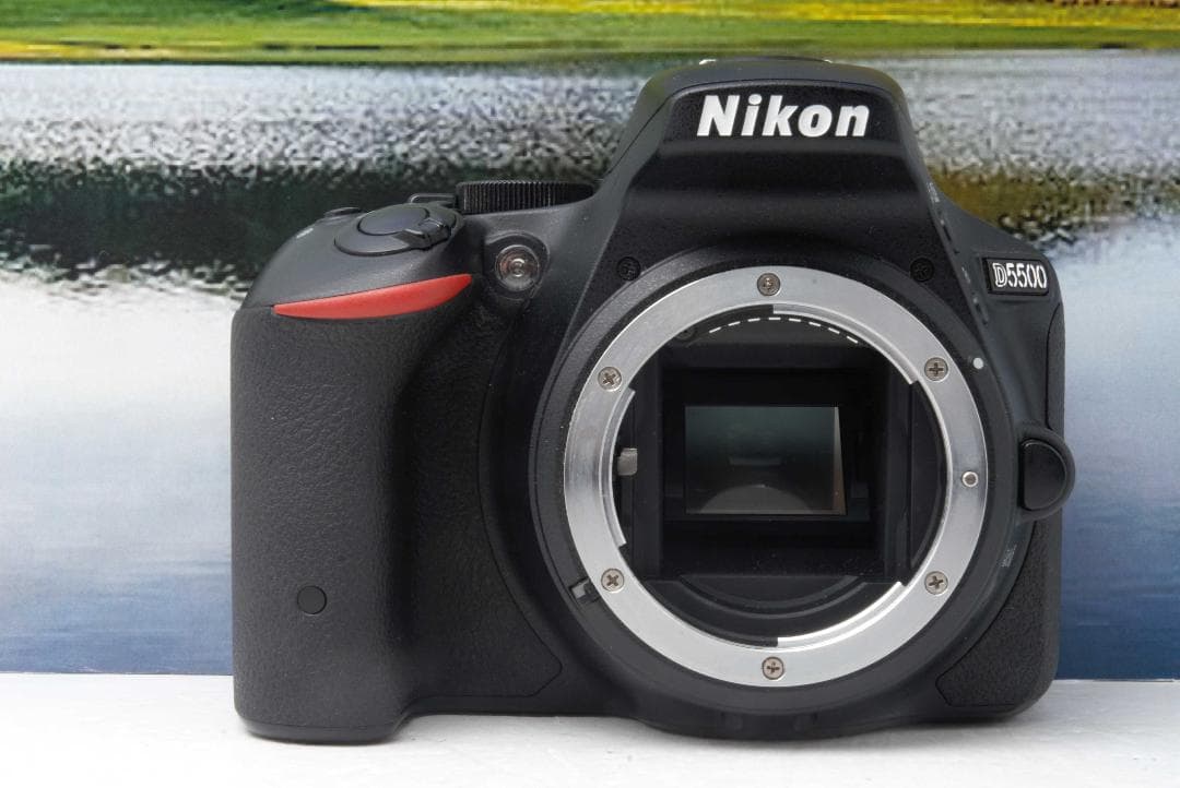 初心者向け　Nikon D5500 高性能 Wi-Fi搭載 届いてすぐ使える