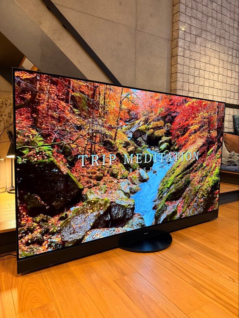 Ykryptnite様 Panasonic2023年65型TH-65MZ2500