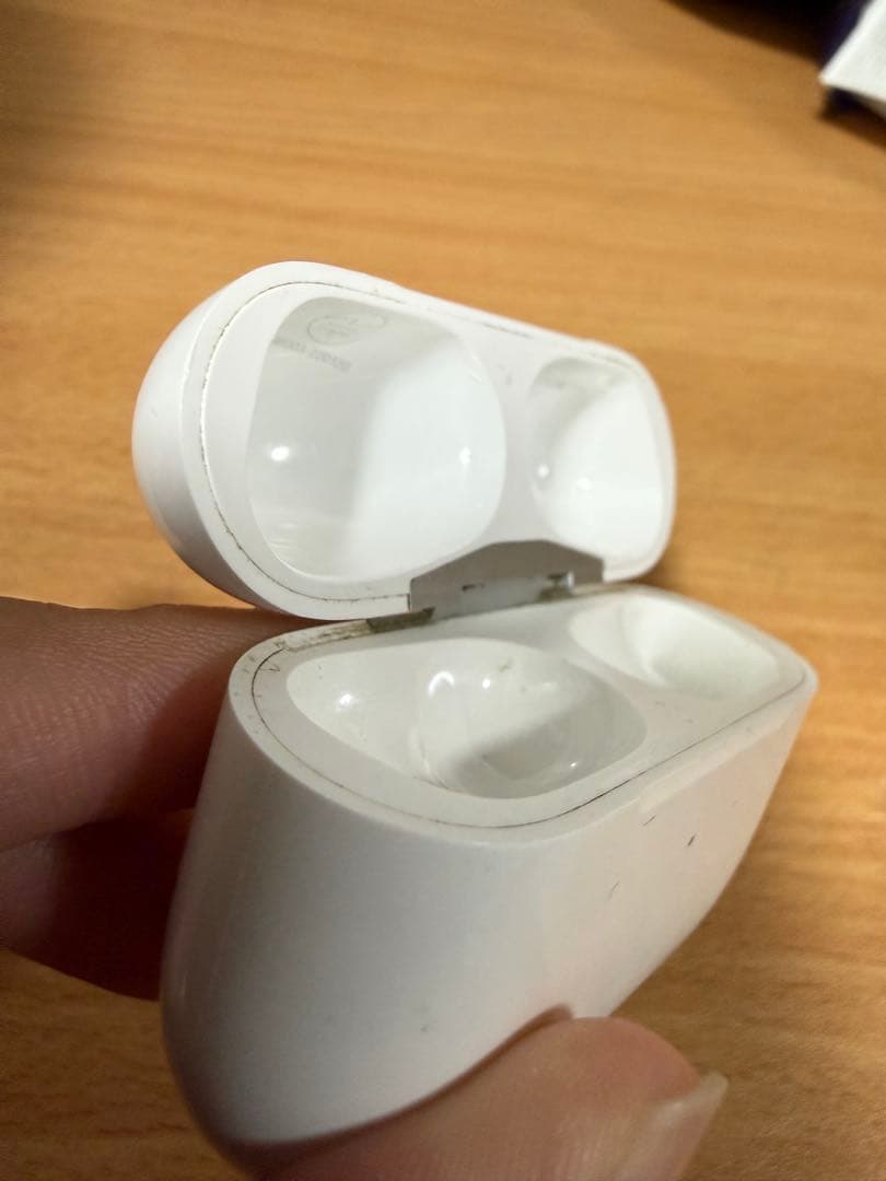 AirPods Pro 2 (Lightningタイプ) イヤホン本体＋ケース付