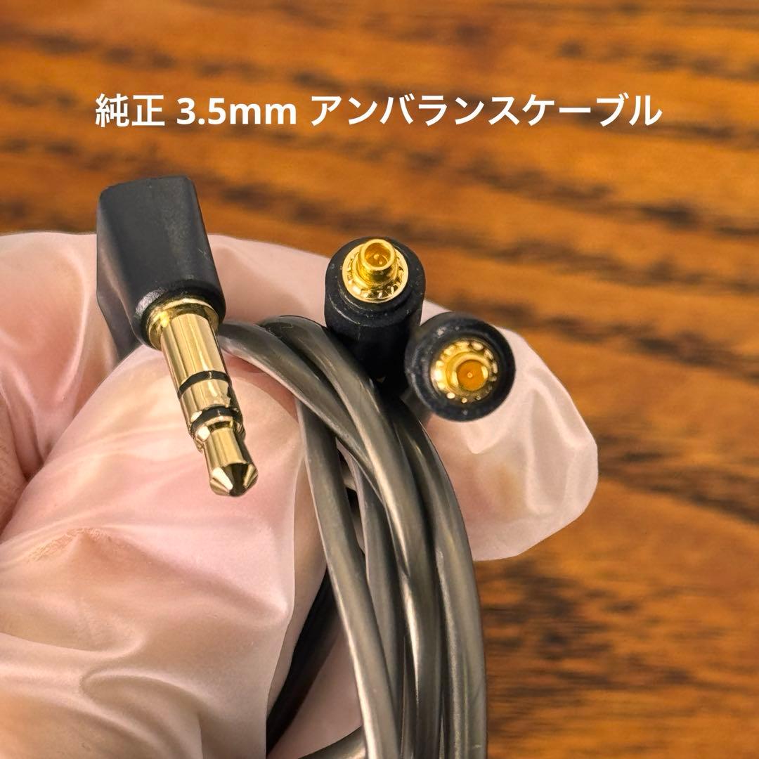 Sennheiser IE900 ゼンハイザー【付属品完備】