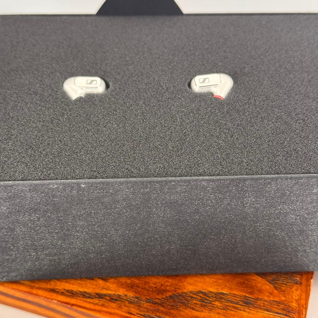 Sennheiser IE900 ゼンハイザー【付属品完備】