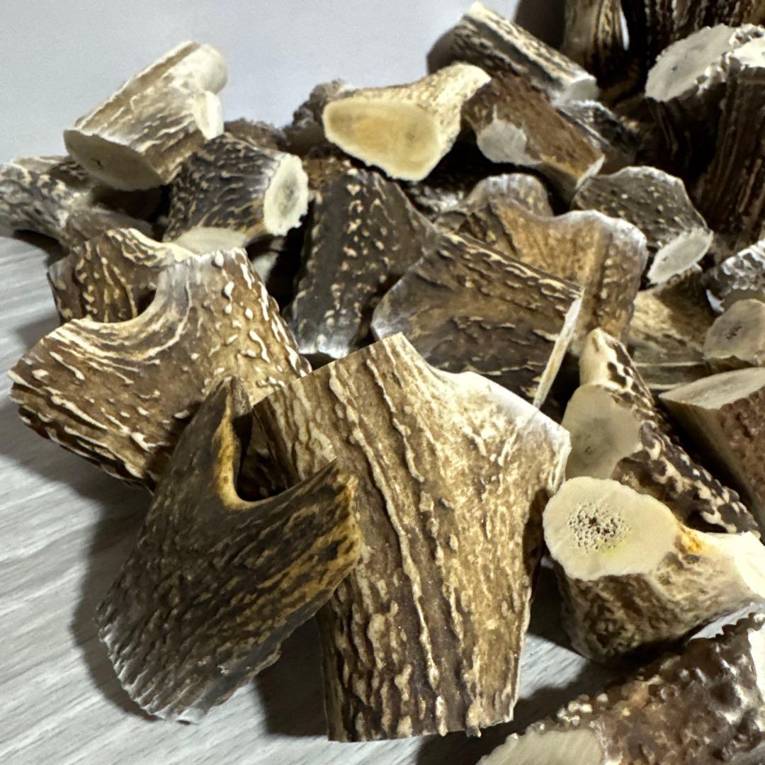 鹿の角　端材Ａ　ハンドメイド用