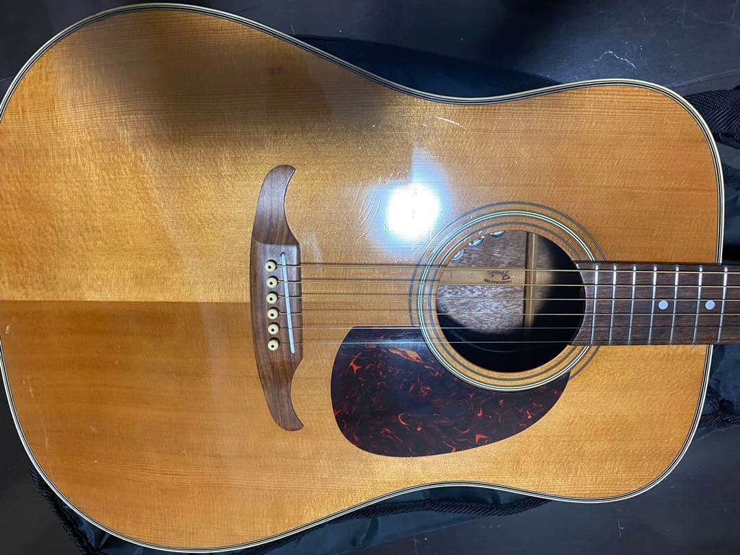 アコースティックギター　fender