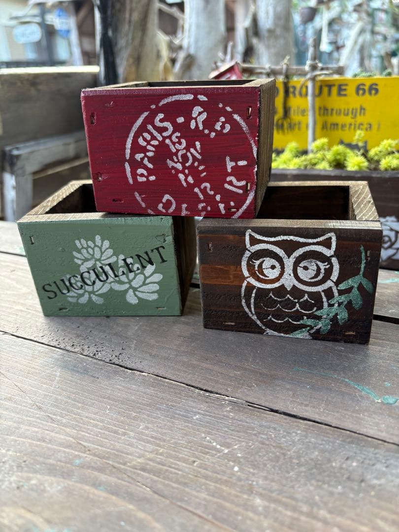 K_S様 多肉植物の寄せ植え各種➕木箱