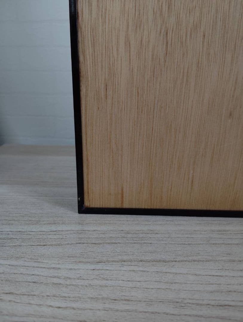 【エレファスゾウカブト】エレファス標本 昆虫　オス２匹セット