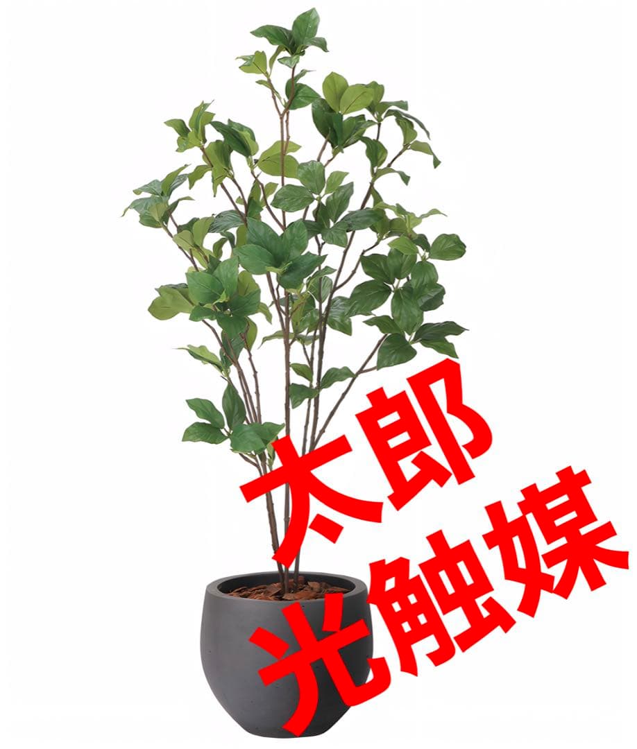 光触媒　人工観葉植物　フェイクグリーン　ナチュラルサラサドウダン1.0