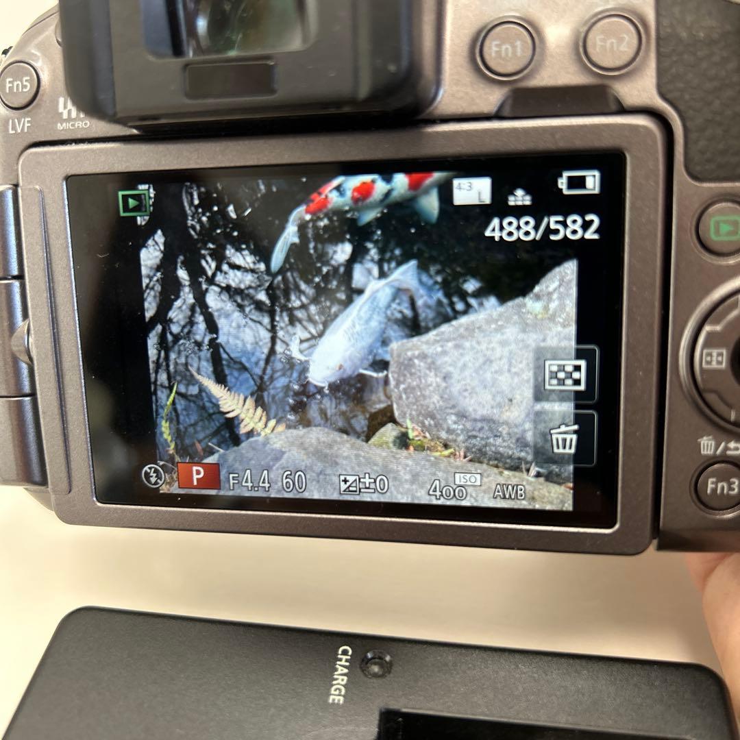 【動作品】Panasonic LUMIX DMC-G6 本体