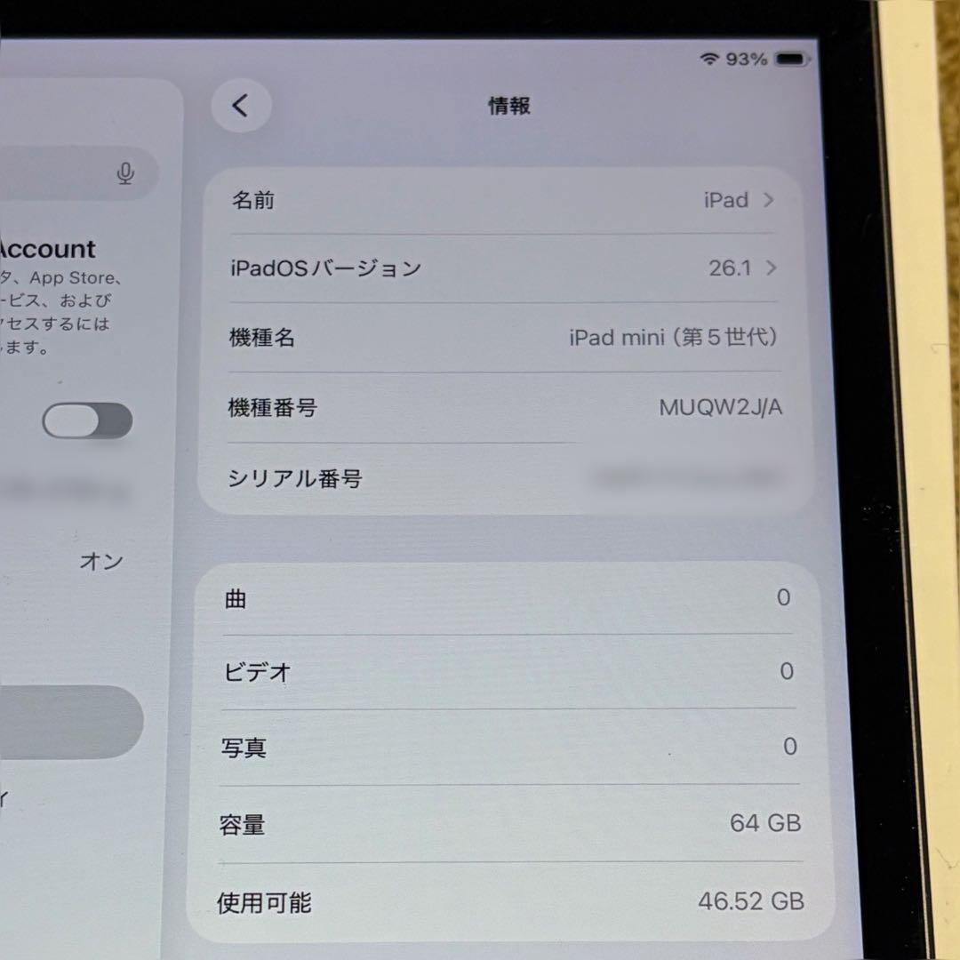 iPad mini 第5世代 64GB バッテリー95%