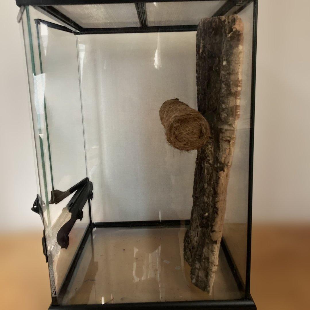 エキゾテラ　GEX　グラテラ3045 中古　②