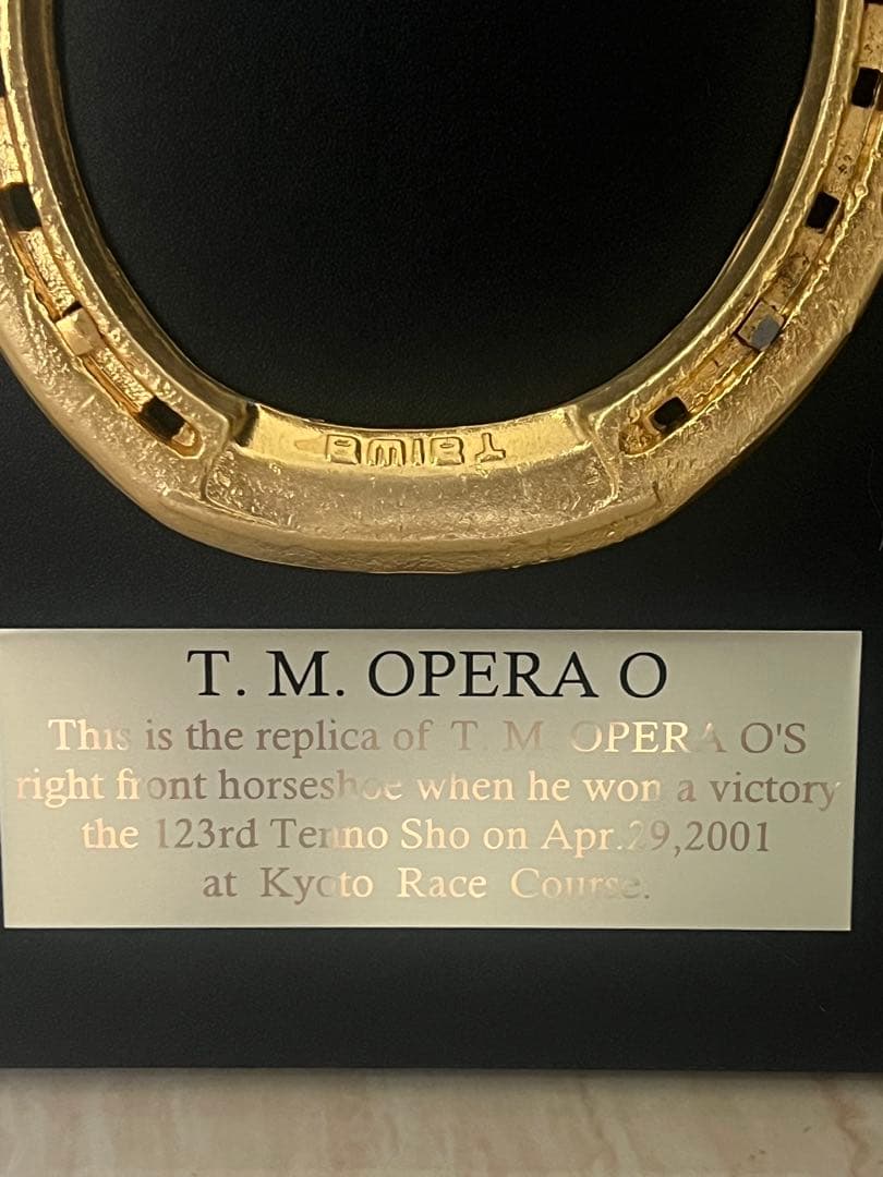 テイエムオペラオー蹄鉄の盾