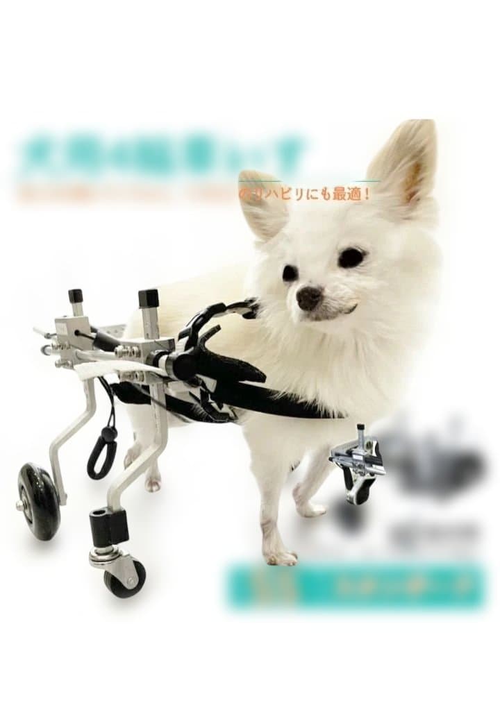 犬用歩行器 小型犬用