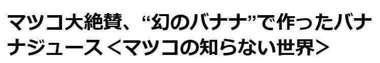 最後1苗◆銀バナナ、160㎝巨大苗＝価格破壊◆TVで紹介、圧倒的な糖度・耐寒強