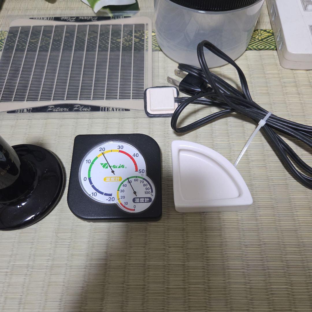 ぴっぴ GEX エキゾテラ グラステラリウム3045 一式セット