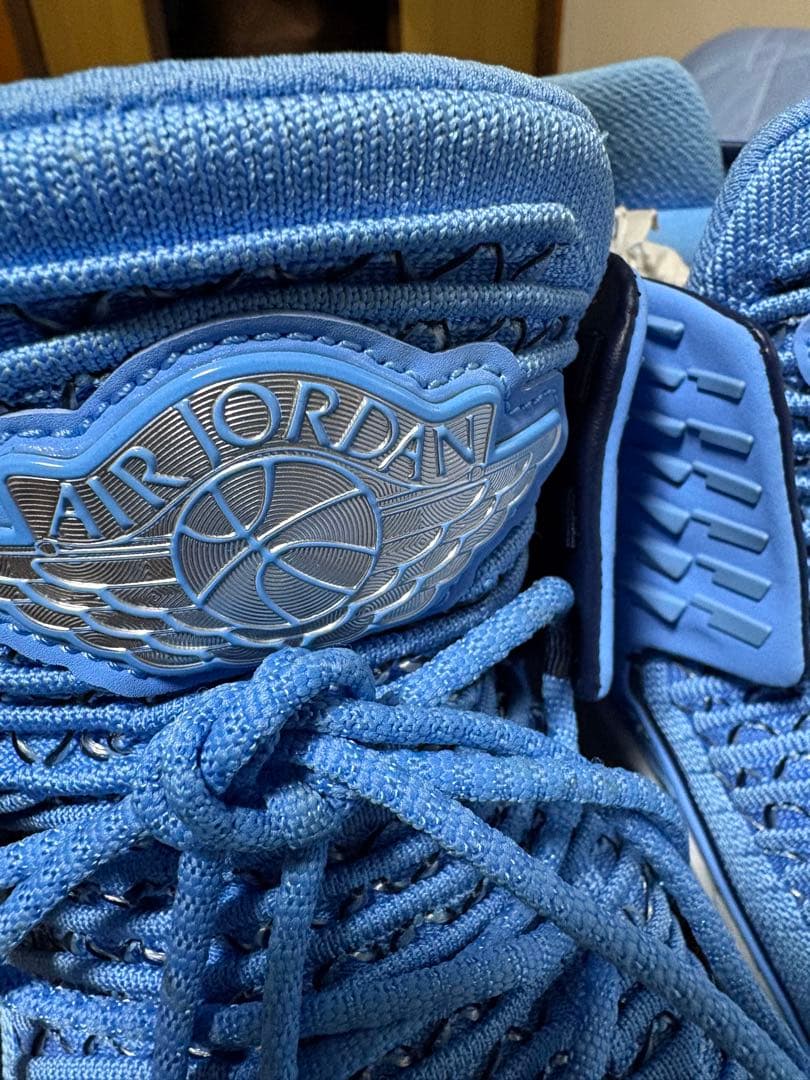 AIR JORDAN XXXII PF US10.5 28.5cmブルー