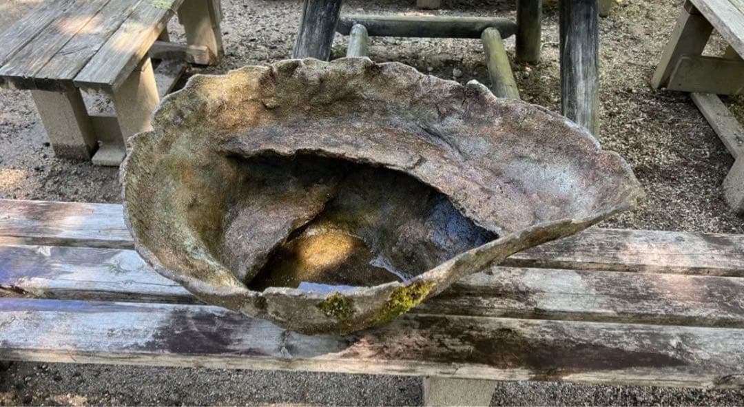 自然石風 水鉢　めだかの館オリジナル一品手作りメダカ鉢　横幅約73㎝