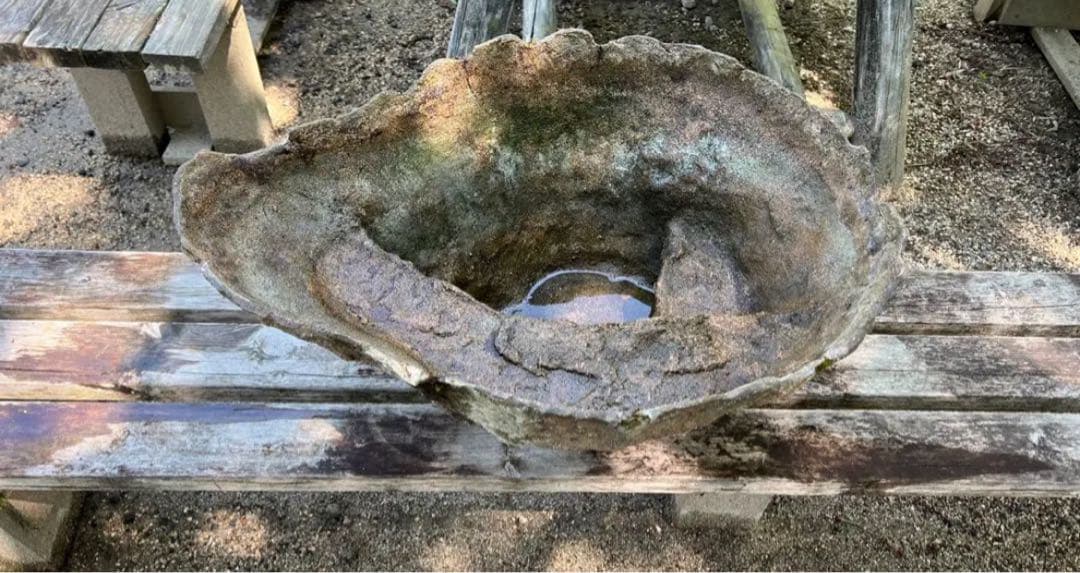 自然石風 水鉢　めだかの館オリジナル一品手作りメダカ鉢　横幅約73㎝