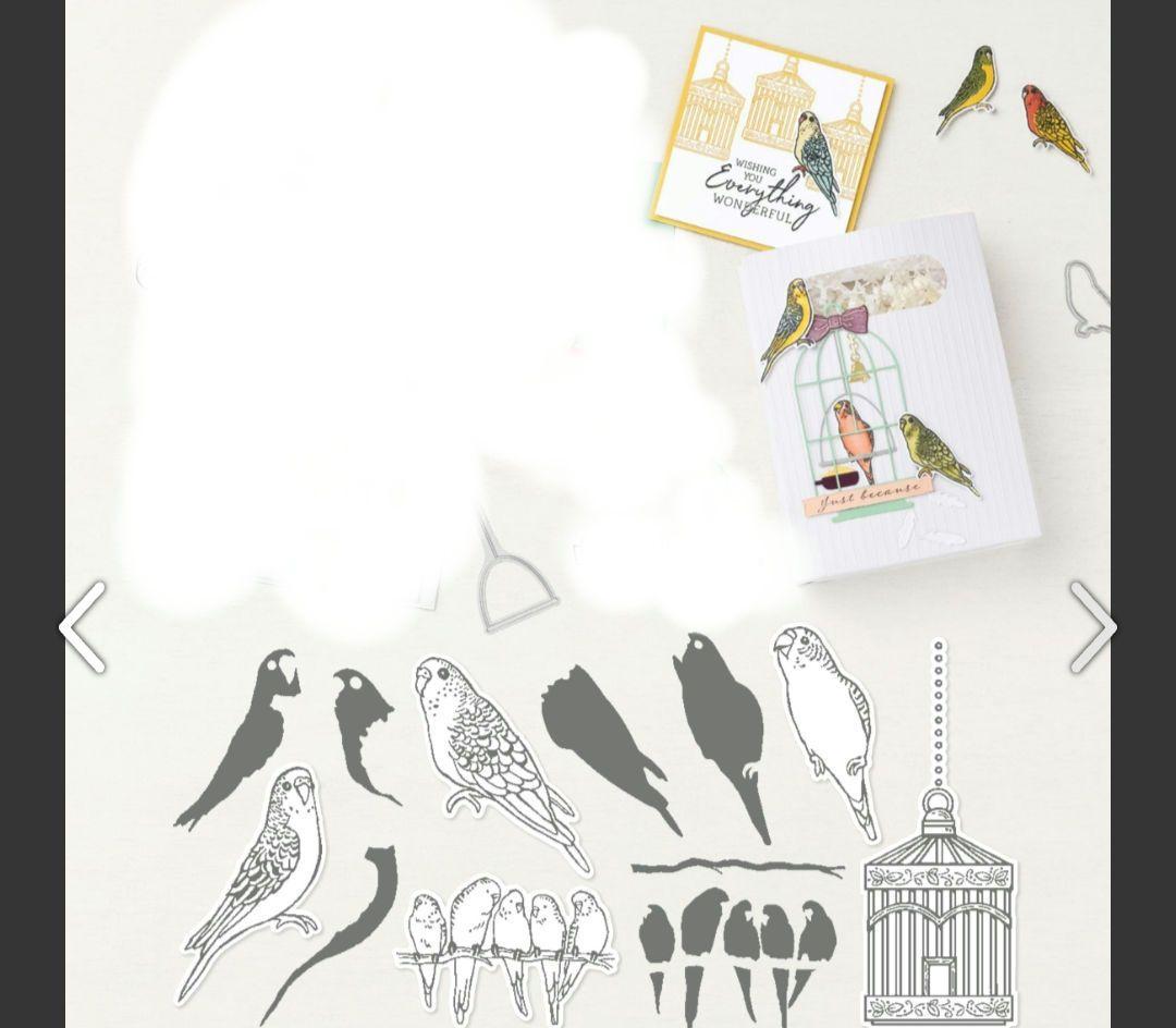 お値下！未使用　インコの可愛いスタンプ＆ダイ　スタンピンアップ