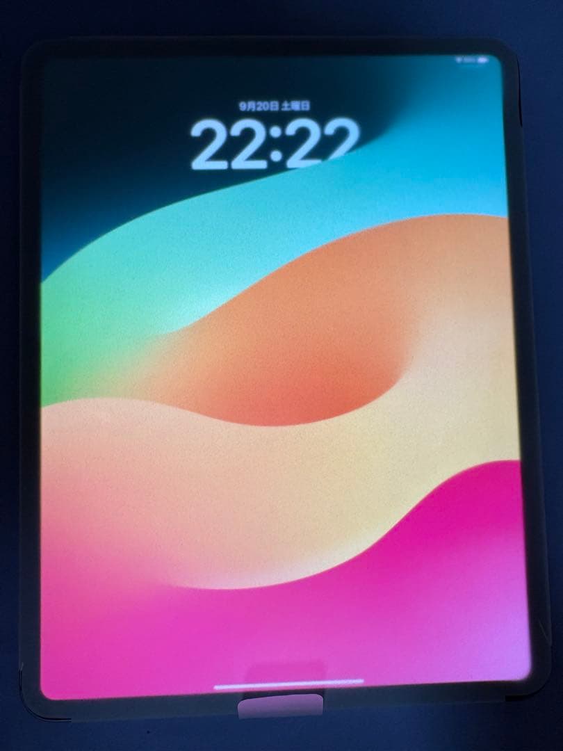 13インチ iPadPro M4 2TB セルラー スペースブラック(標準ガラス