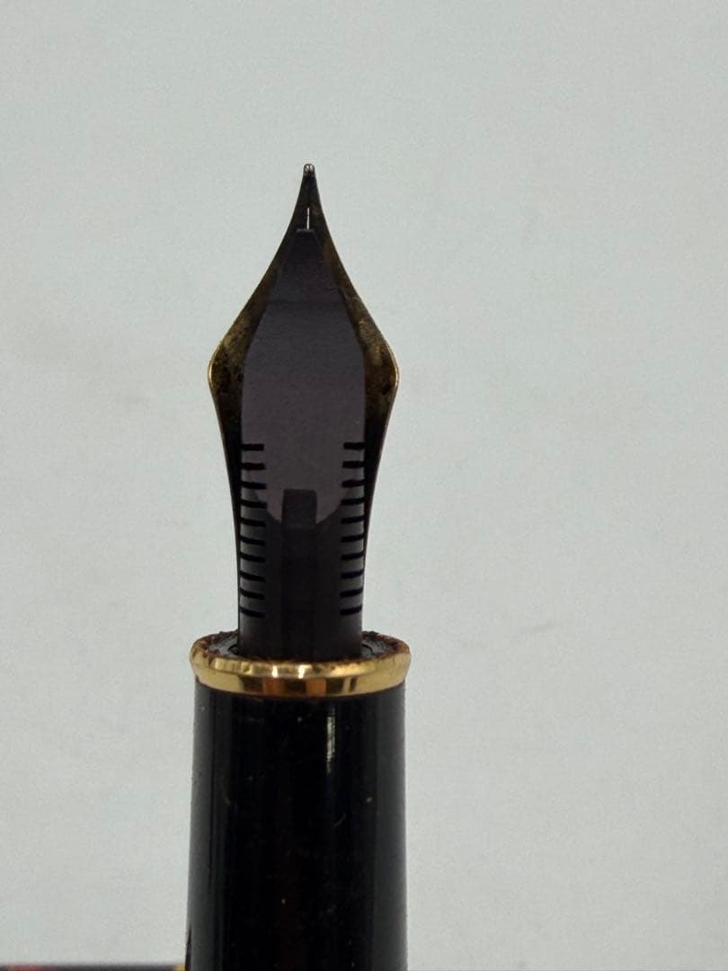 PLATINUM 3776 センチュリー 加賀平蒔絵 桜 万年筆 プラチナ 中