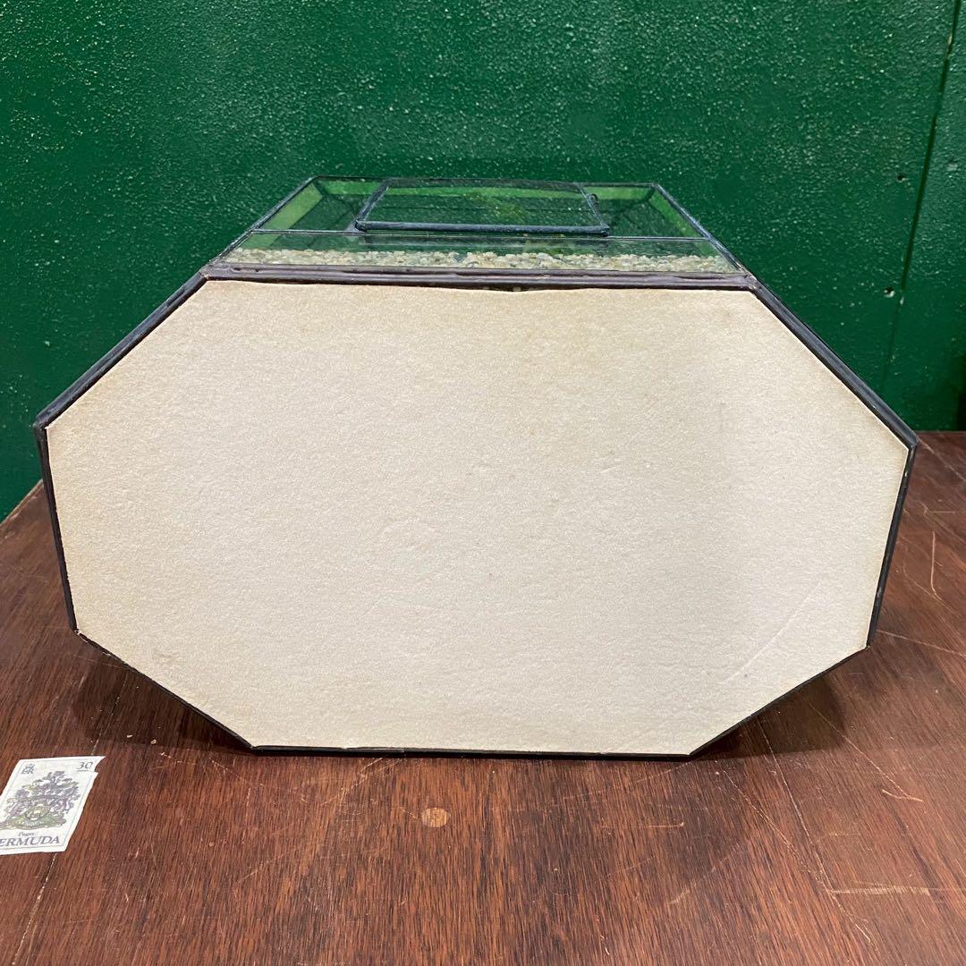 テラリウム ワーディアンケース ステンドグラス 八角形 インテリア 置物 風水