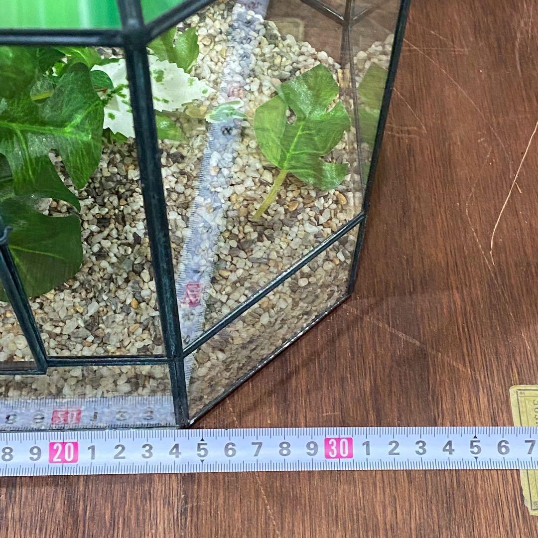 テラリウム ワーディアンケース ステンドグラス 八角形 インテリア 置物 風水