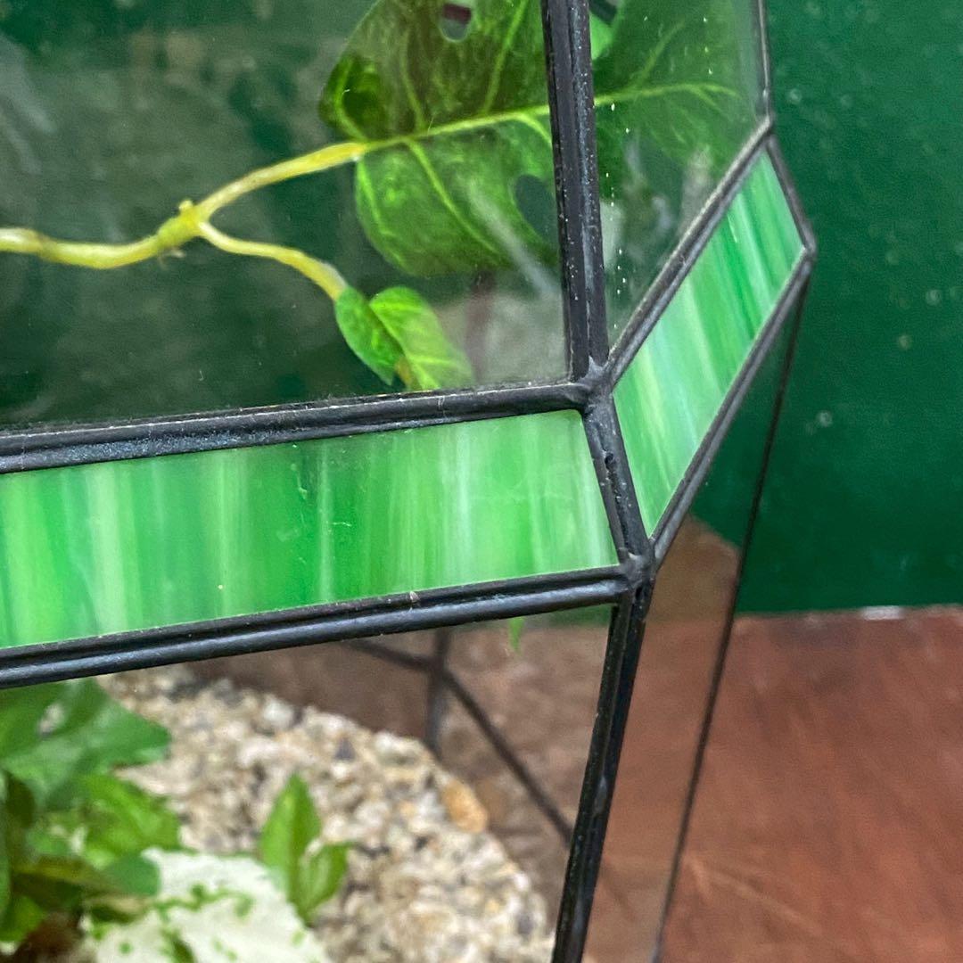 テラリウム ワーディアンケース ステンドグラス 八角形 インテリア 置物 風水