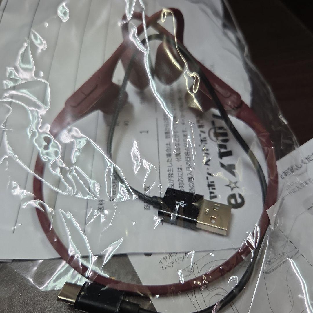 美品　AVIOT ⾻伝導イヤホンWB-P1