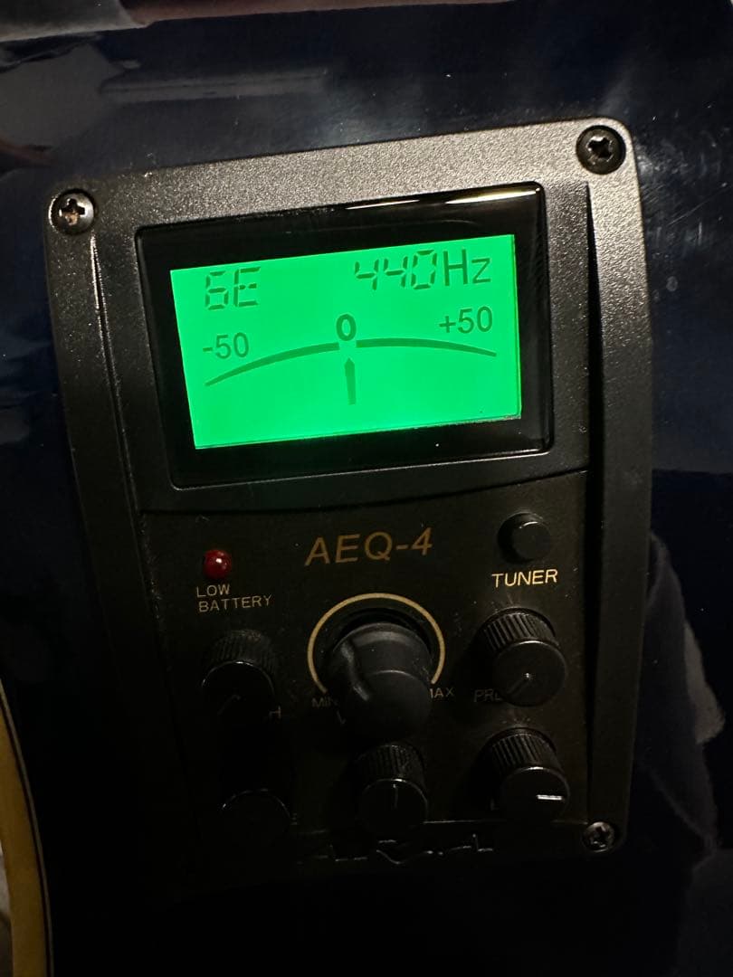 最終値下げ⭐︎生産終了品⭐︎エレアコ♪ARIA FET-STD BLS