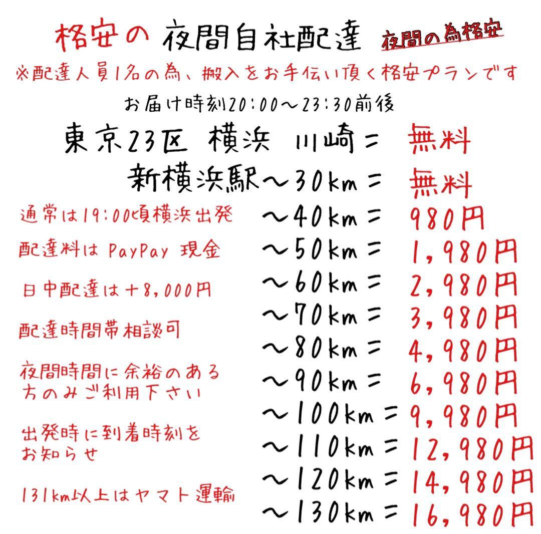 首都圏送無料〜 奇跡の快適性 ACTUSフルフェザー コーナー カウチ ソファ