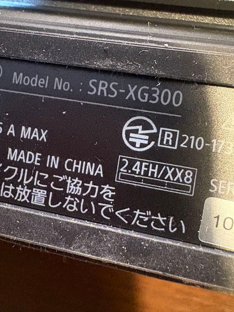 SONY SRSーXG300