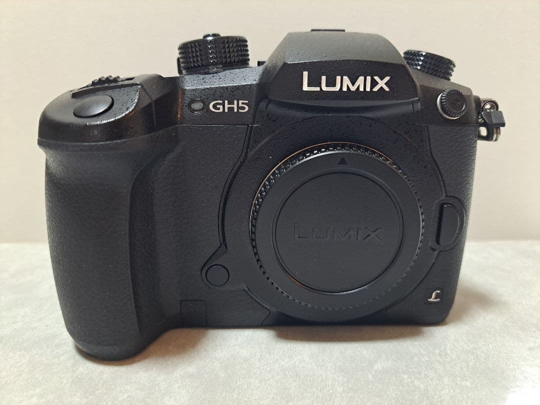 最終価格！LUMIX GH5 ミラーレス一眼 本体　付属品　おまけあり
