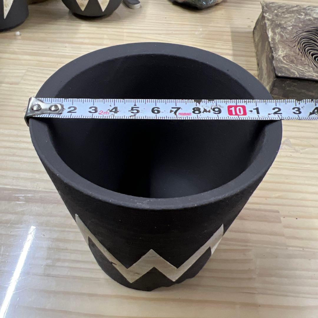 ノイズ 樣手作植木鉢 Mサイズ 2点検（ 塊根植物 グラキリス パキプス