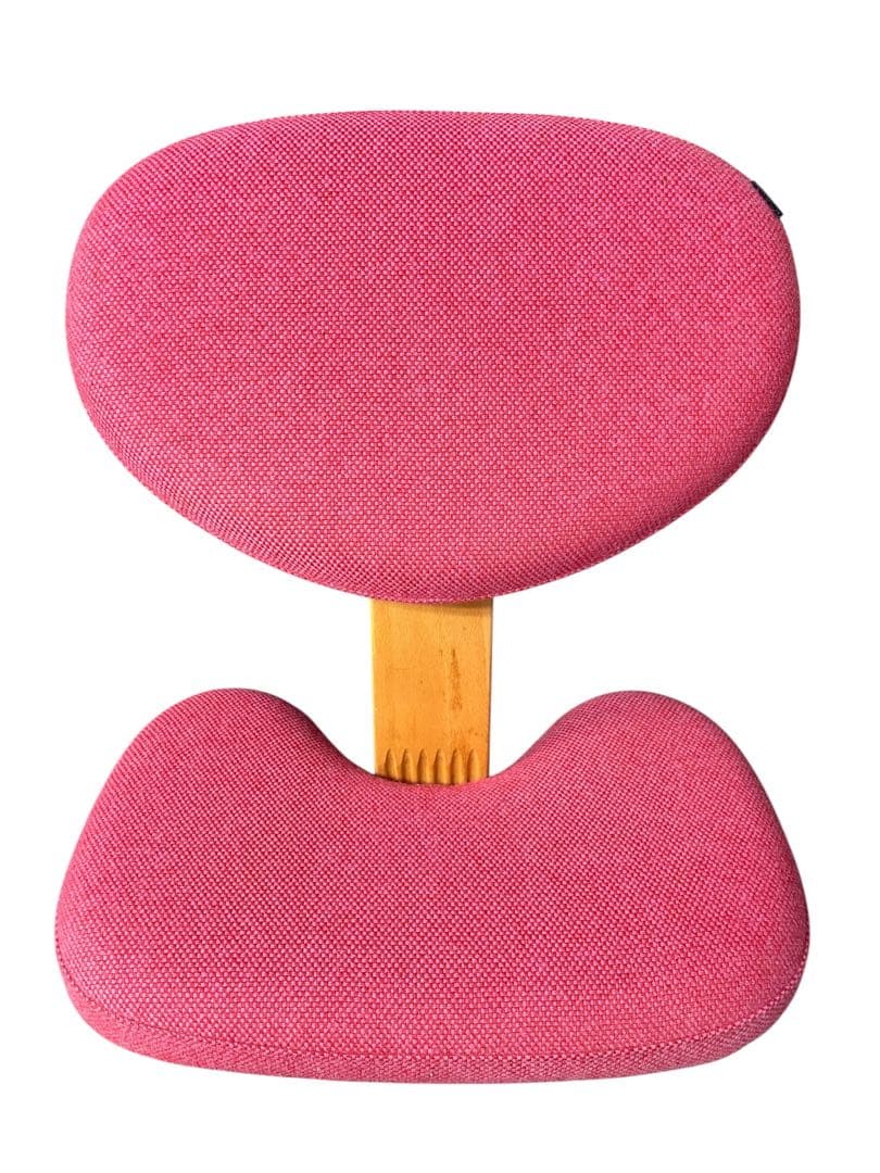 y*5様 Rybo リボ社 Balans Easy バランスイージー ピンク